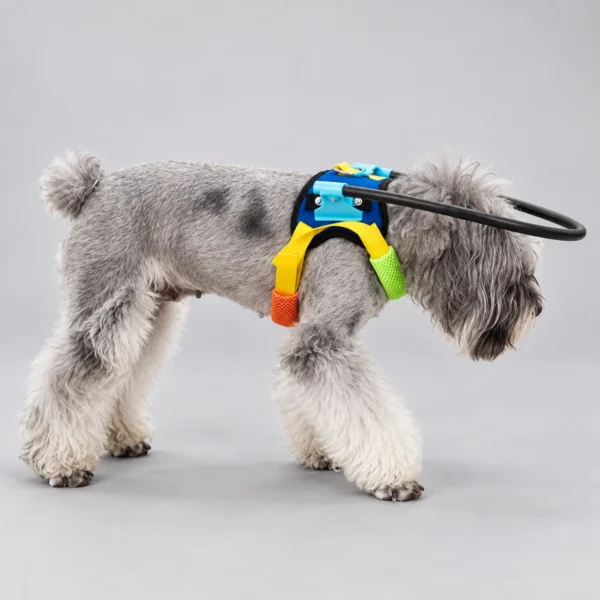 Blind Dog Halo - Image 5