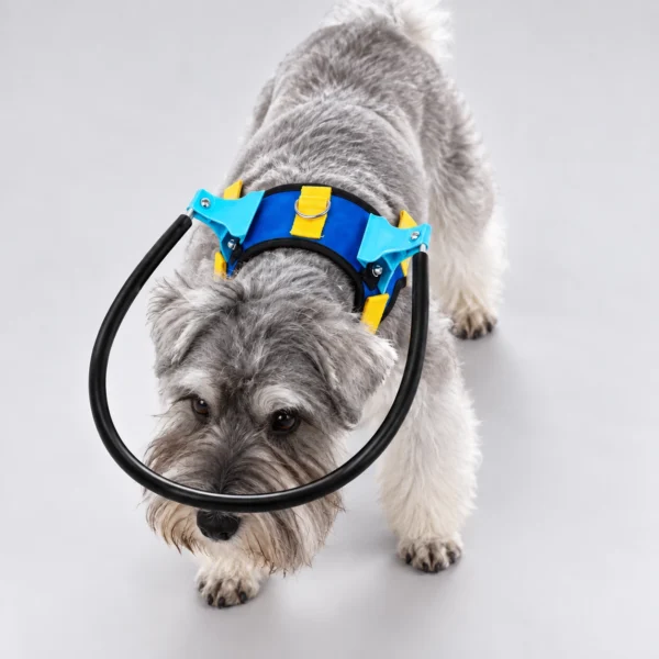 Blind Dog Halo - Image 6