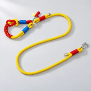 Colorblock Rope Leash