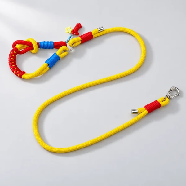 Colorblock Rope Leash