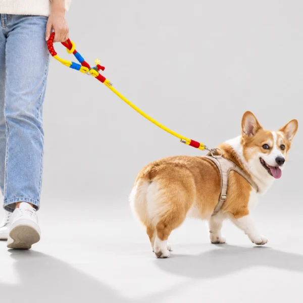 Colorblock Rope Leash - Image 4