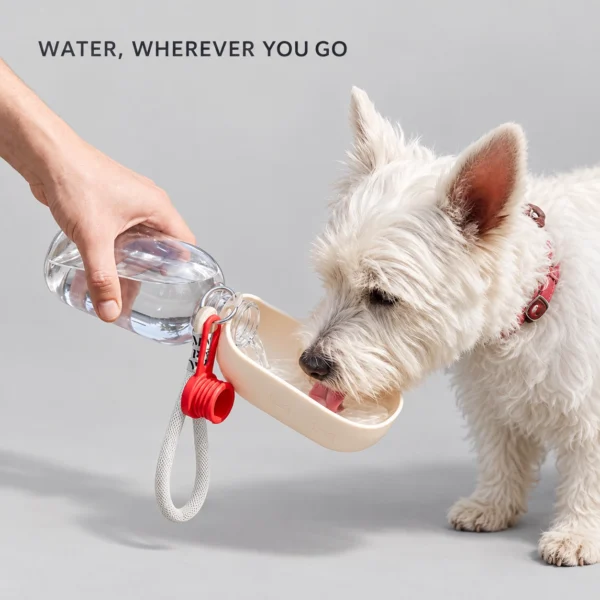 Flip-Out Pet Water Bottle - Image 5