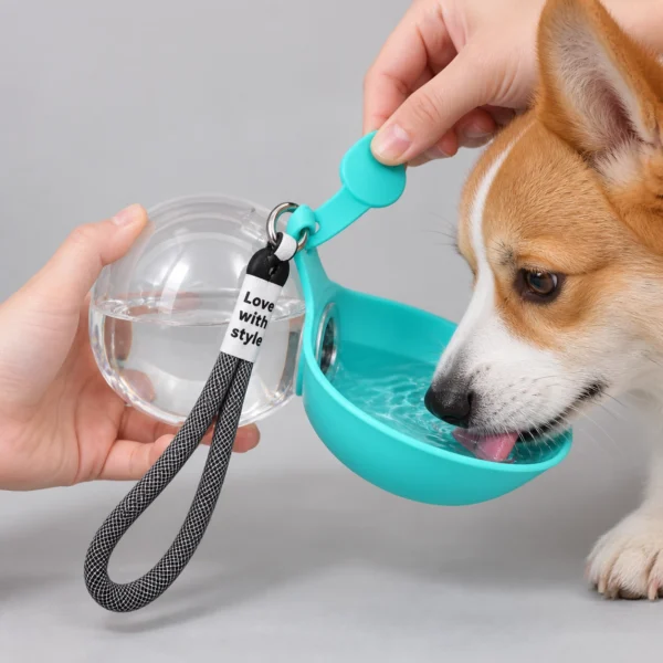 Spherical pet water bottle - Image 6