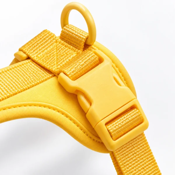 Dog Walk Kit - Image 2